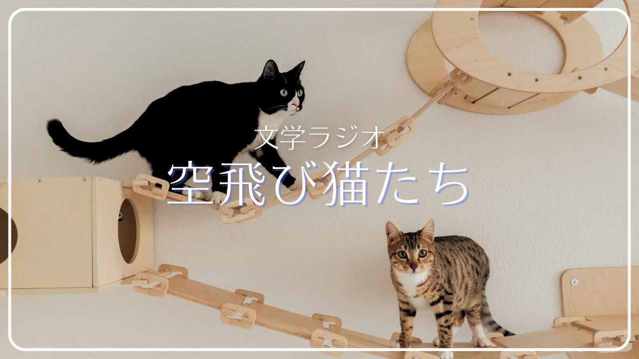 「文学ラジオ空飛び猫たち」と読む海外文学／海外文学好きなふたりのゆるくて硬派なポッドキャスト番組の紹介本一覧