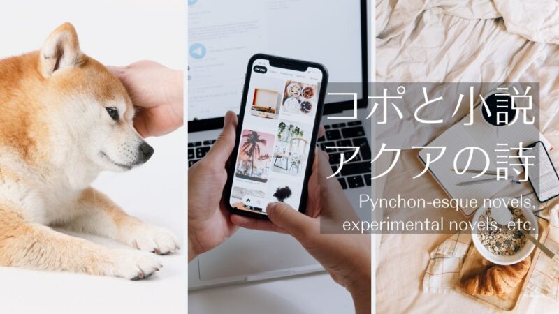 アクアの詩/柳瀬尚紀「ゆうべ女房をころしてしもうた」の文体模倣、「森のくまさん」「赤ずきん」「文体練習」と「モーニングルーティン」