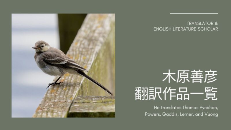 木原善彦さんの本、新刊と翻訳作品一覧/トマス・ピンチョン、リチャード・パワーズ、ウィリアム・ギャディスと実験小説