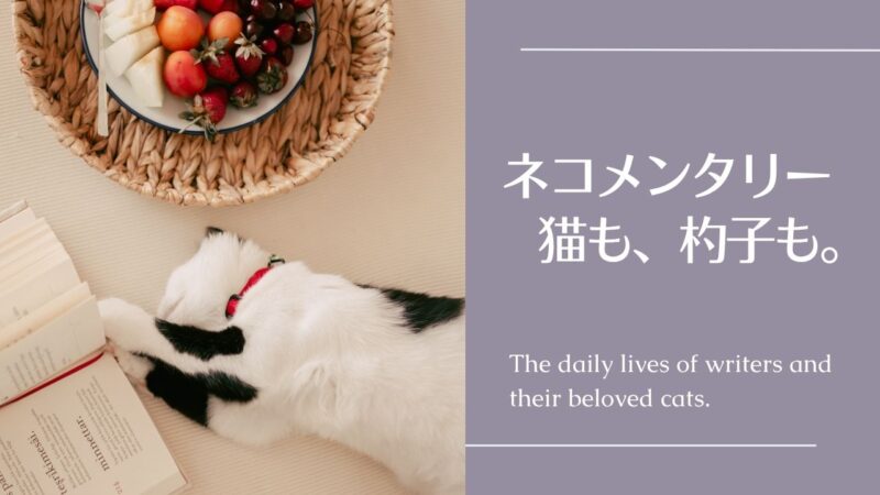 作家と猫「ネコメンタリー 猫も、杓子も。」の一覧表